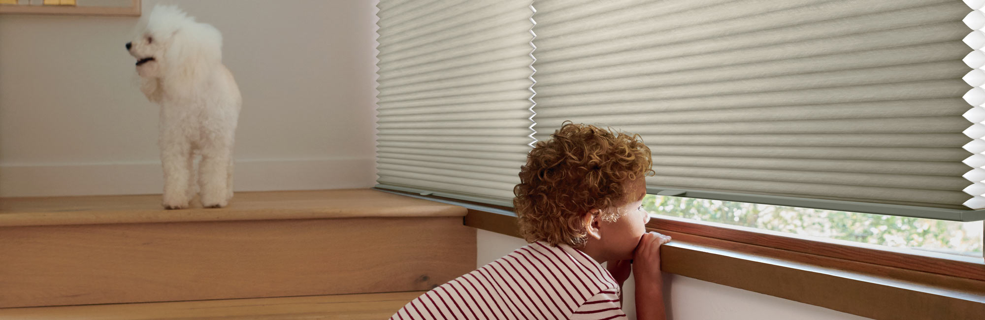 Custom Cellular Shades